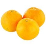 Clementine Mandarin