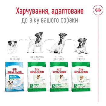 Корм сухой Royal Canin Mini Ageing 12+ для пожилых собак 800г - купить, цены на MasterZoo - фото 6