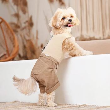 Pet Fashion Darcy шлея-костюм для собак M - купить, цены на MasterZoo - фото 6