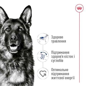 Корм сухий Royal Canin 8+ з домашньою птицею для літніх собак великих порід 15кг - купити, ціни на MasterZoo - фото 2