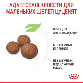 Royal Canin Dry Food for Puppies of Medium Breeds 3.2+800g - buy, prices for MasterZoo - photo 5