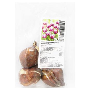 Full Early Valeska Tulip Bulbs 3pcs - buy, prices for MegaMarket - photo 1