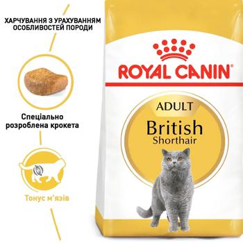 Корм сухой Royal Canin Adult для кошек породы британская короткошерстная 3,2кг+800г - купить, цены на MasterZoo - фото 2