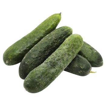 Ground Cucumber