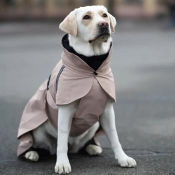 Noble Pet Rio Raincoat for Dogs s.3XL Beige - buy, prices for MasterZoo - photo 8