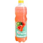 Ever Aid Kombucha 100% Watermelon Lightly Carbonated Drink 0.75l