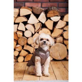 Vest - buy, prices for MasterZoo - photo 4