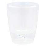 Santino Twin Orchid Transparent Pot 1.3l