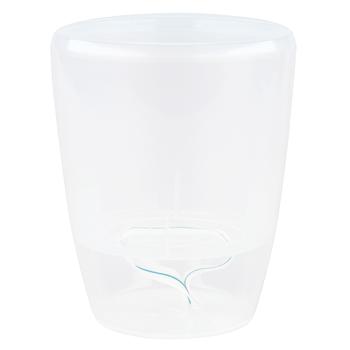 Santino Twin Orchid Transparent Pot 1.3l