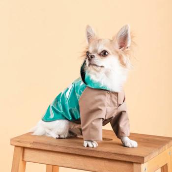 Pet Fashion Semmy Raincoat for Dogs s.М - buy, prices for MasterZoo - photo 6