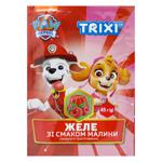 Trixi Strawberry Jelly 45g