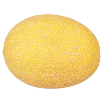 Melon - buy, prices for Chudo Market - photo 1