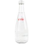 Evian Non-carbonated Mineral Water 0.33l