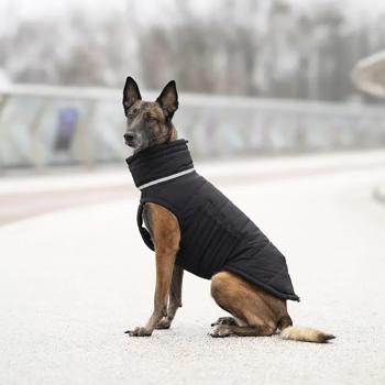 Noble Pet Bobby Bravery Down Jacket for Dogs s.3XL Black - buy, prices for - photo 3