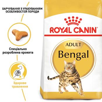 Корм сухий Royal Canin з домашньою птицею для дорослих котів бенгальської породи 2кг - купити, ціни на - фото 2