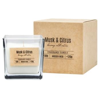 Scented candle Bispol musk Poland - buy, prices for MegaMarket - photo 1