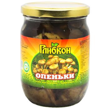 Hlybkon Honey Fungus 500g