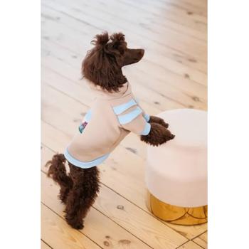 Pet Fashion Home Hoodie for Dogs s.XS2 - buy, prices for MasterZoo - photo 6