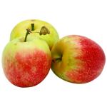 Яблоко Украинское