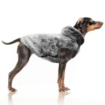 Sweatshirt Milk & pepper France - buy, prices for MasterZoo - photo 4