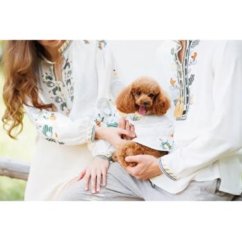 Pet Fashion Maryana Embroidery for Dogs s.XS2 - buy, prices for MasterZoo - photo 2