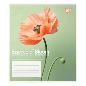 Зошит Yes Essence of Bloom клітинка А5 24 аркуші - купити, ціни на - фото 2
