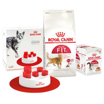 Royal Canin Food Set with Poultry for Adult Cats Fit 32 Dry 2kg + Instinctive Wet 12pcs x 85g + Interactive Feeder