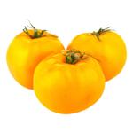 Tomato Yellow