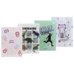 Тетрадь Interdruk Magic А5 32 листа в ассортименте