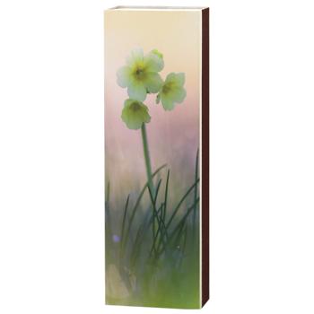 HB Matches for Fireplace and Grill 50pcs - buy, prices for MegaMarket - photo 6