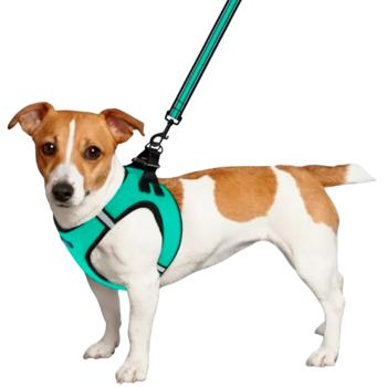 Шлея для собак Barksi Mesh Vest нейлонова M 47см м'ятний - купити, ціни на MasterZoo - фото 4