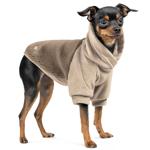 Sweater Pet fashion l