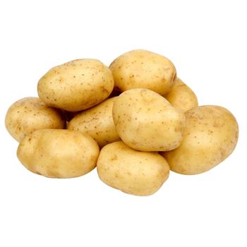 Картопля Metro Chef біла 10кг - купити, ціни на METRO - фото 1