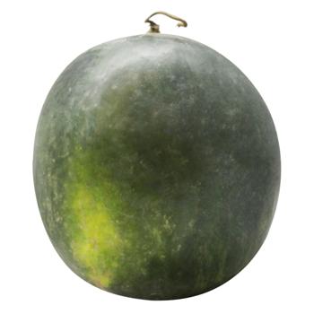 Кавун Вогник органічний ваг - купити, ціни на NOVUS - фото 1