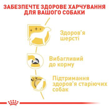 Корм сухий Royal Canin з домашньою птицею для дорослих собак породи йоркширський тер'єр 500г - купити, ціни на MasterZoo - фото 3