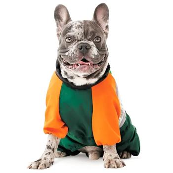 Pet Fashion Marlie Raincoat for Dogs s.МL - buy, prices for MasterZoo - photo 4