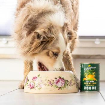 Christopherus Adult Vegetarian Wet Food for Dogs with Oats and Pumpkin 400g - buy, prices for MasterZoo - photo 3