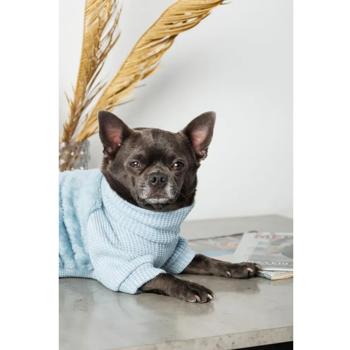 Sweater Pet fashion - buy, prices for MasterZoo - photo 5
