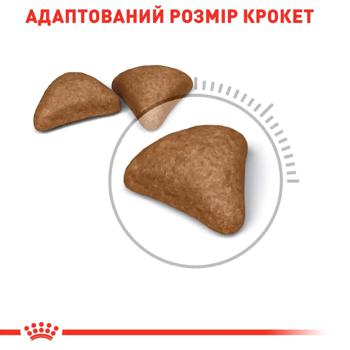 Сухий корм для котів Royal Canin Hairball Care 2 кг + 400 г - домашня птиця - купити, ціни на - фото 4