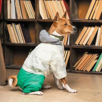 Pet Fashion Man костюм для собак XXS - купити, ціни на MasterZoo - фото 6