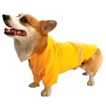 Raincoat Noble pet