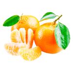 Dubesh Mandarin
