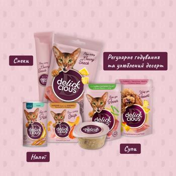 Суп для кошек Delickcious с курицей, томатами и шпинатом для кошек 80г - купить, цены на MasterZoo - фото 8