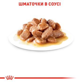 Корм влажный Royal Canin Care Hairball с домашней птицей для выведения шерсти у кошек 9+3шт х 85г - купить, цены на MasterZoo - фото 2