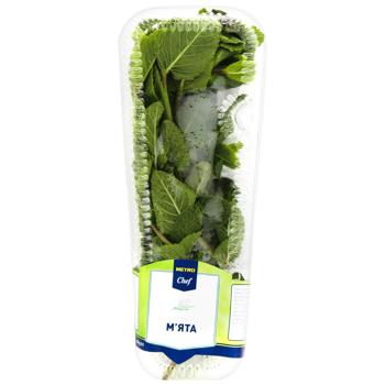 Metro Chef Fresh Mint 50g - buy, prices for Biotus - photo 1