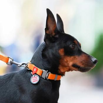 Waudog Waterproof Dog Collar with QR Passport 38-58cm/25mm Orange - buy, prices for MasterZoo - photo 2