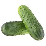 Vegetables cucumber fresh