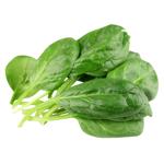 Greens spinach 100g Ukraine