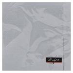 Margo 2-Ply Napkins 33х33cm 24pcs Grey