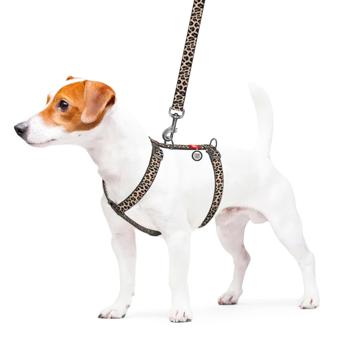 Leash Collar Ukraine - buy, prices for MasterZoo - photo 2